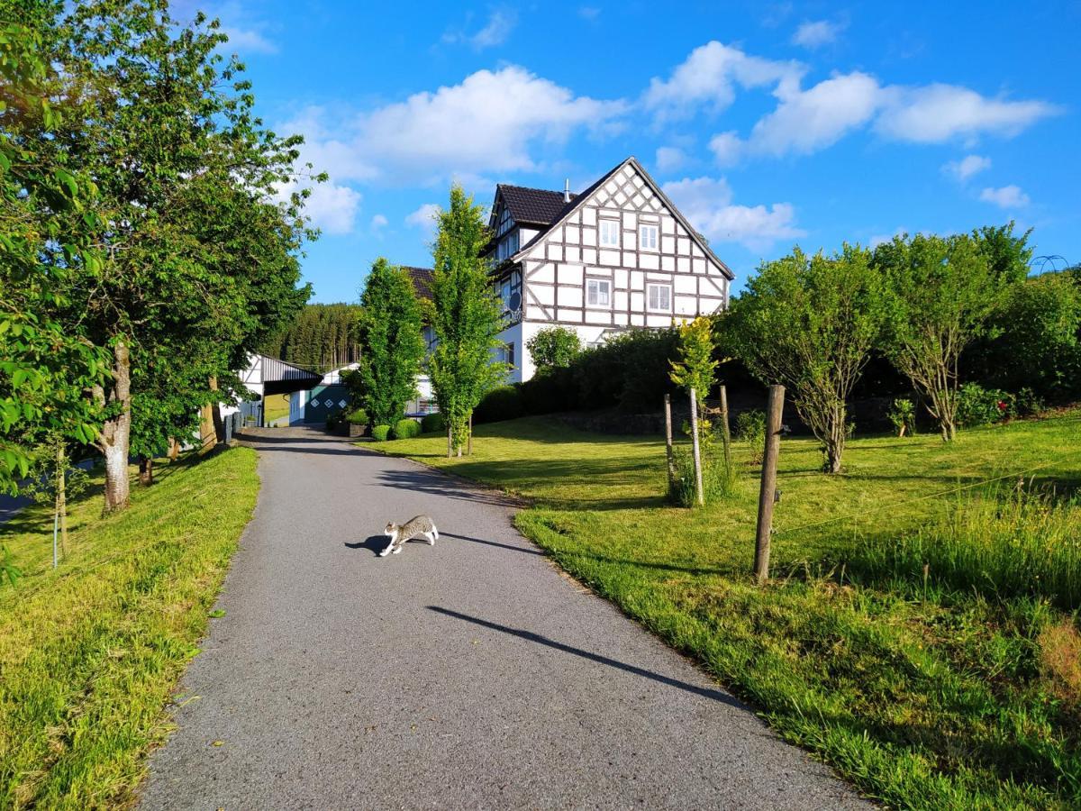 Apartament Kleine Auszeit Eslohe Zewnętrze zdjęcie