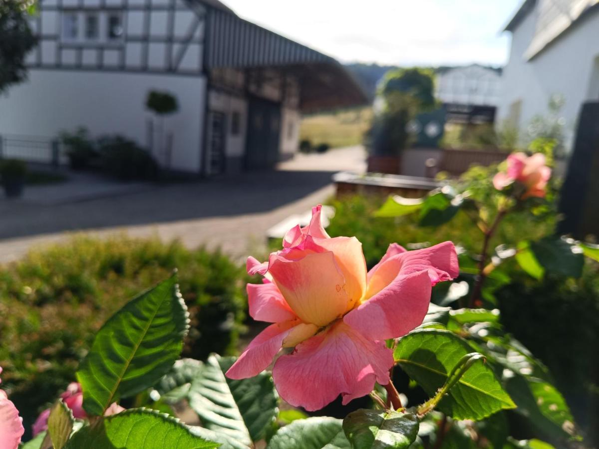 Apartament Kleine Auszeit Eslohe Zewnętrze zdjęcie
